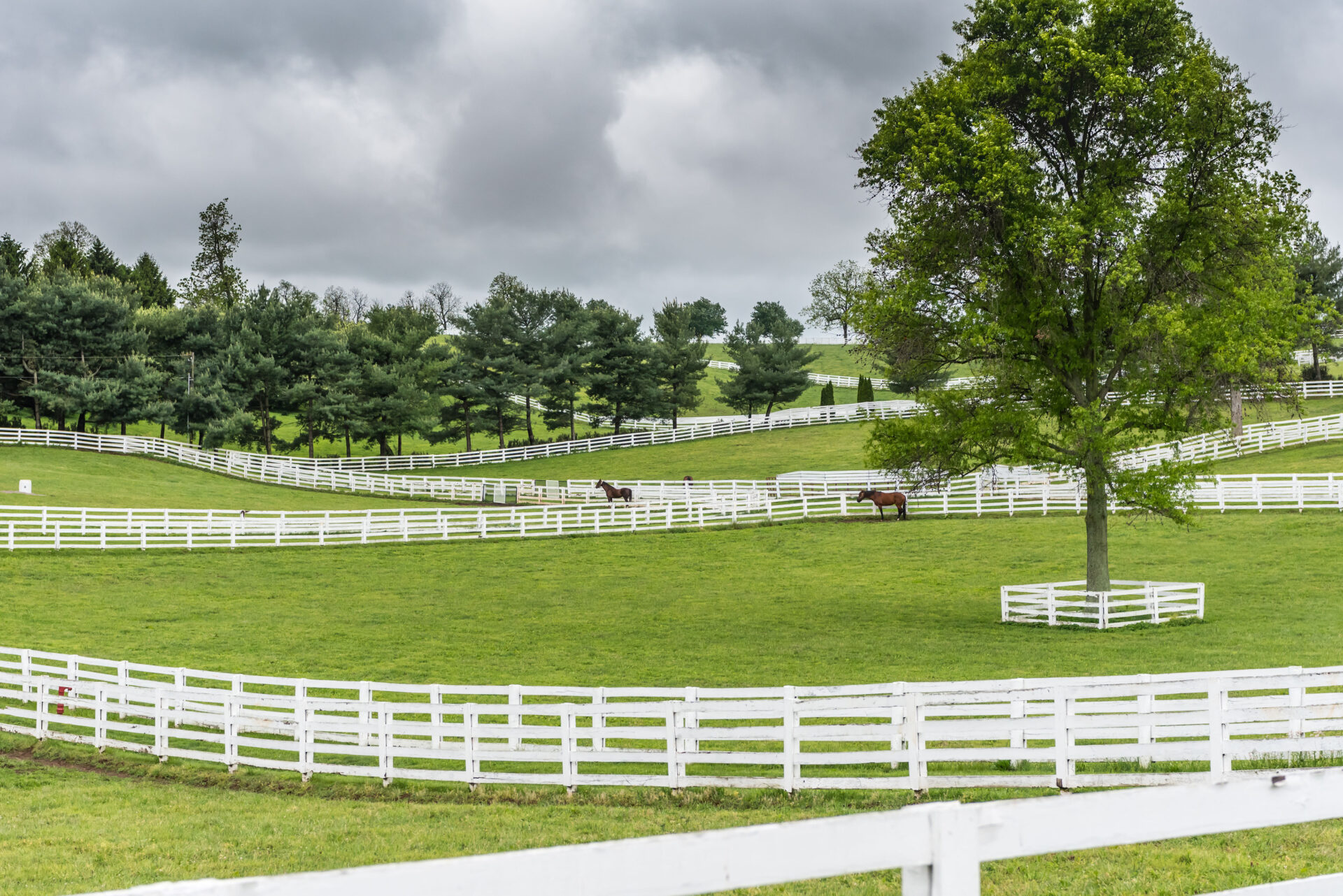 Home - Best Farm Fencing